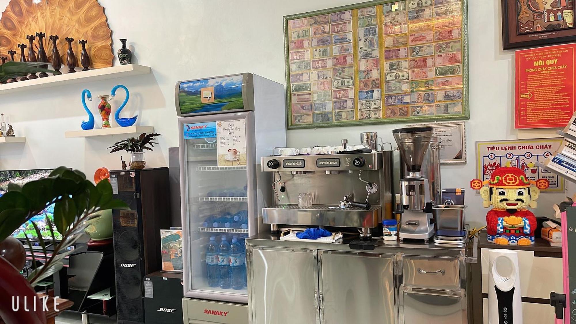Cat Ba Central Homestay Dong Khe Sau Екстериор снимка